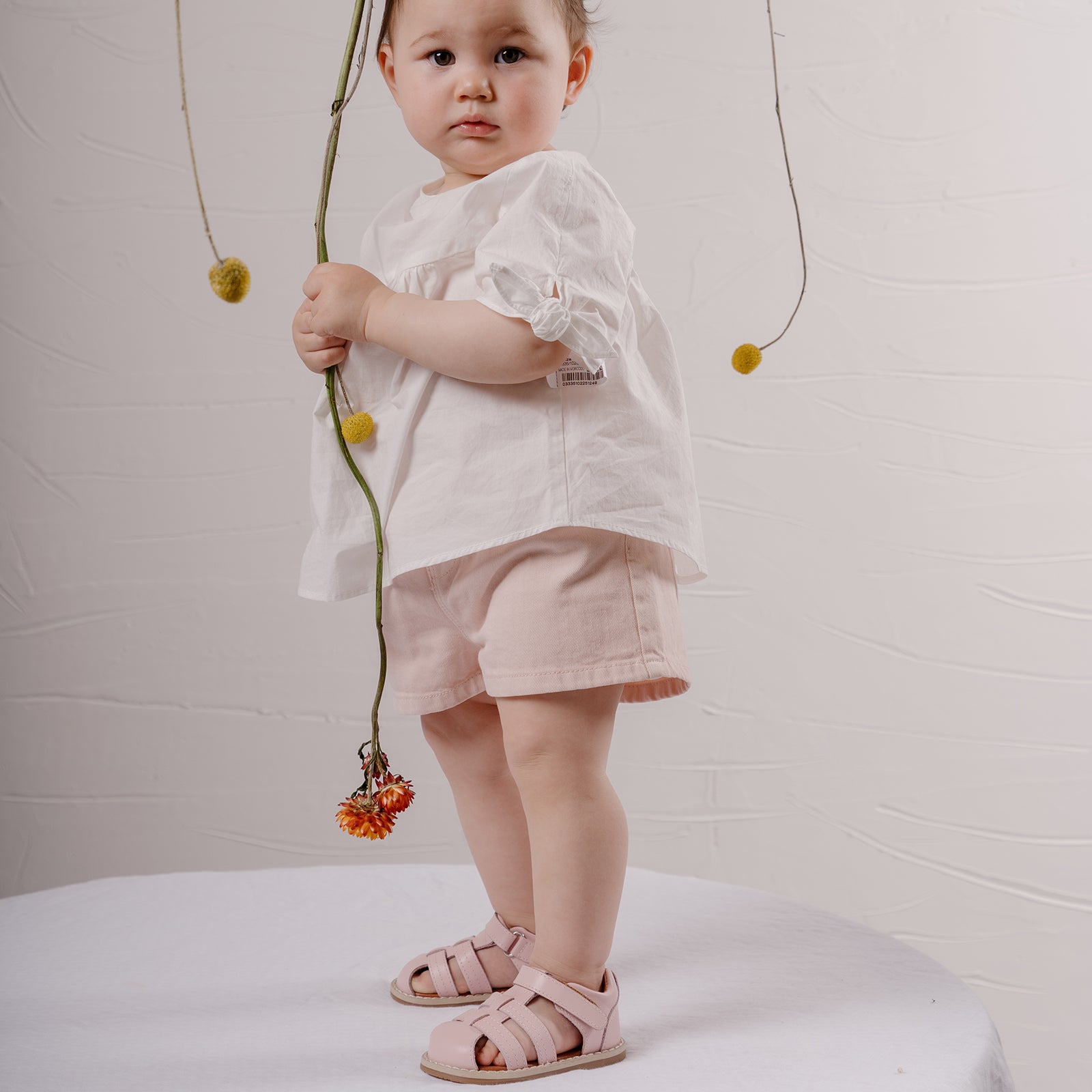 Mini Beetle Gladiator - Berry Pink