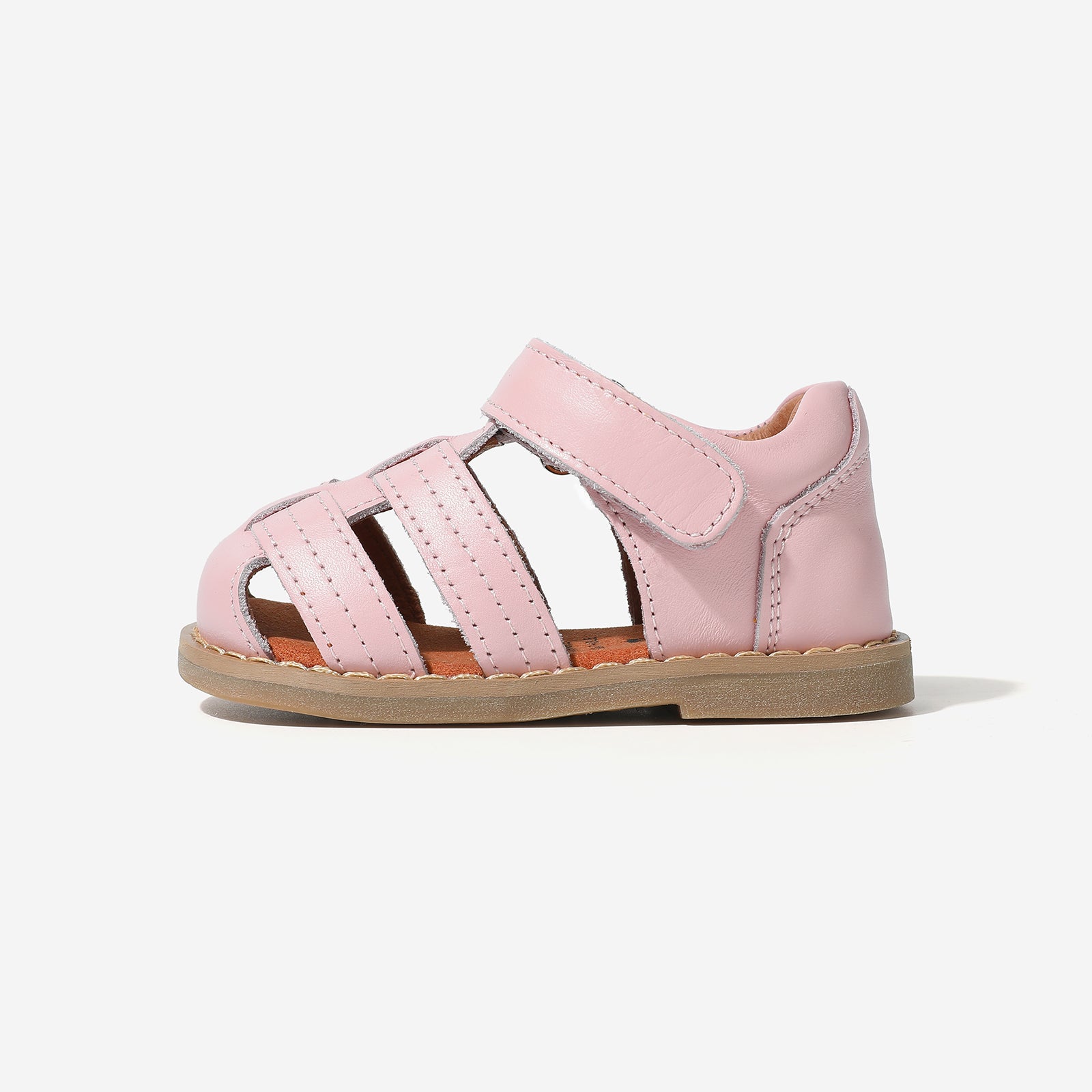 Mini Beetle Gladiator - Berry Pink