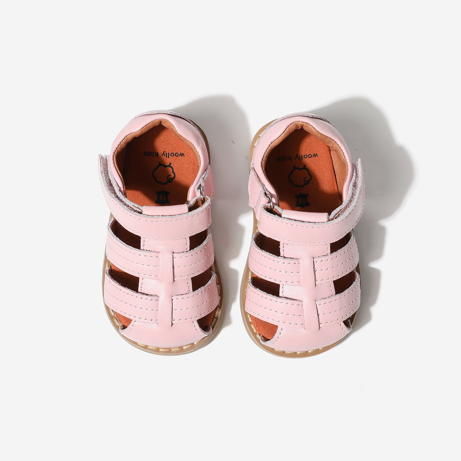 Mini Beetle Gladiator - Berry Pink