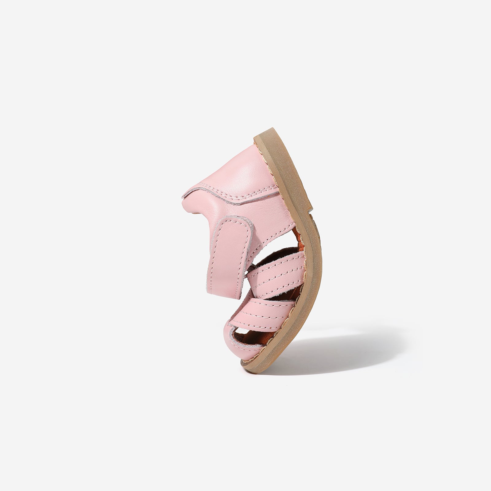 Mini Beetle Gladiator - Berry Pink