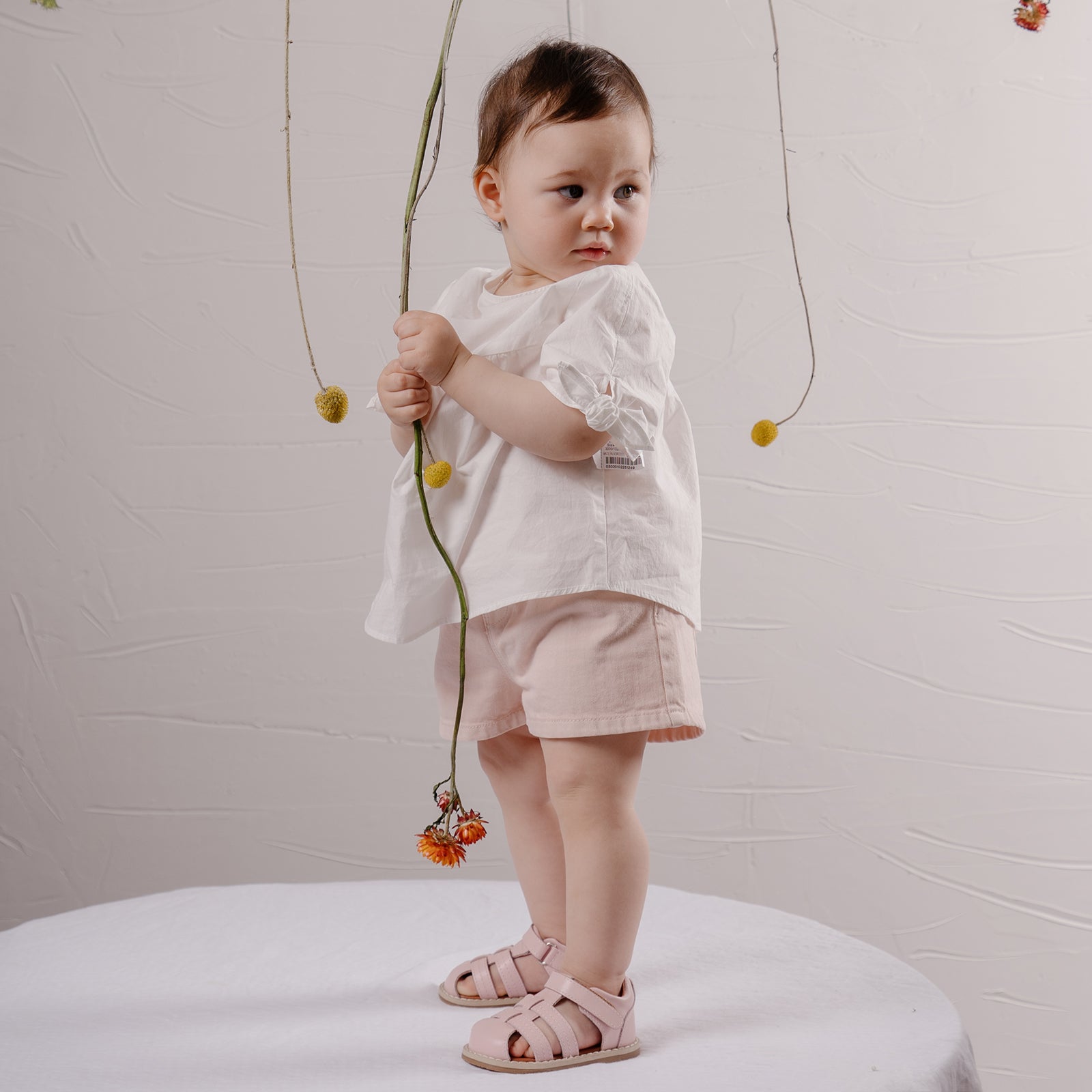 Mini Beetle Gladiator - Berry Pink