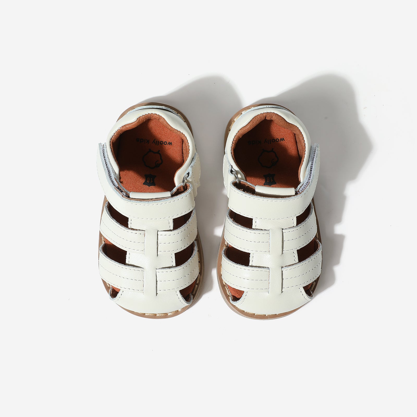 Mini Beetle Gladiator - Cloud White