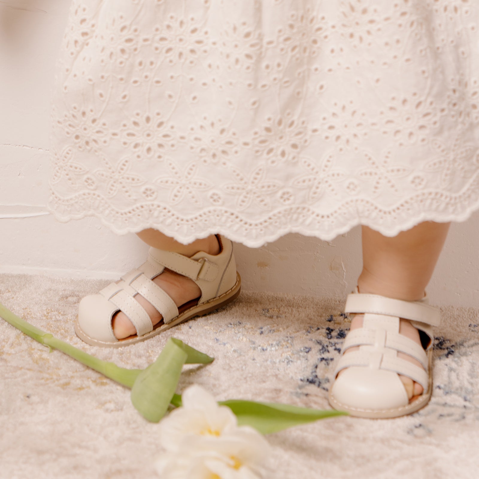 Mini Beetle Gladiator - Cloud White