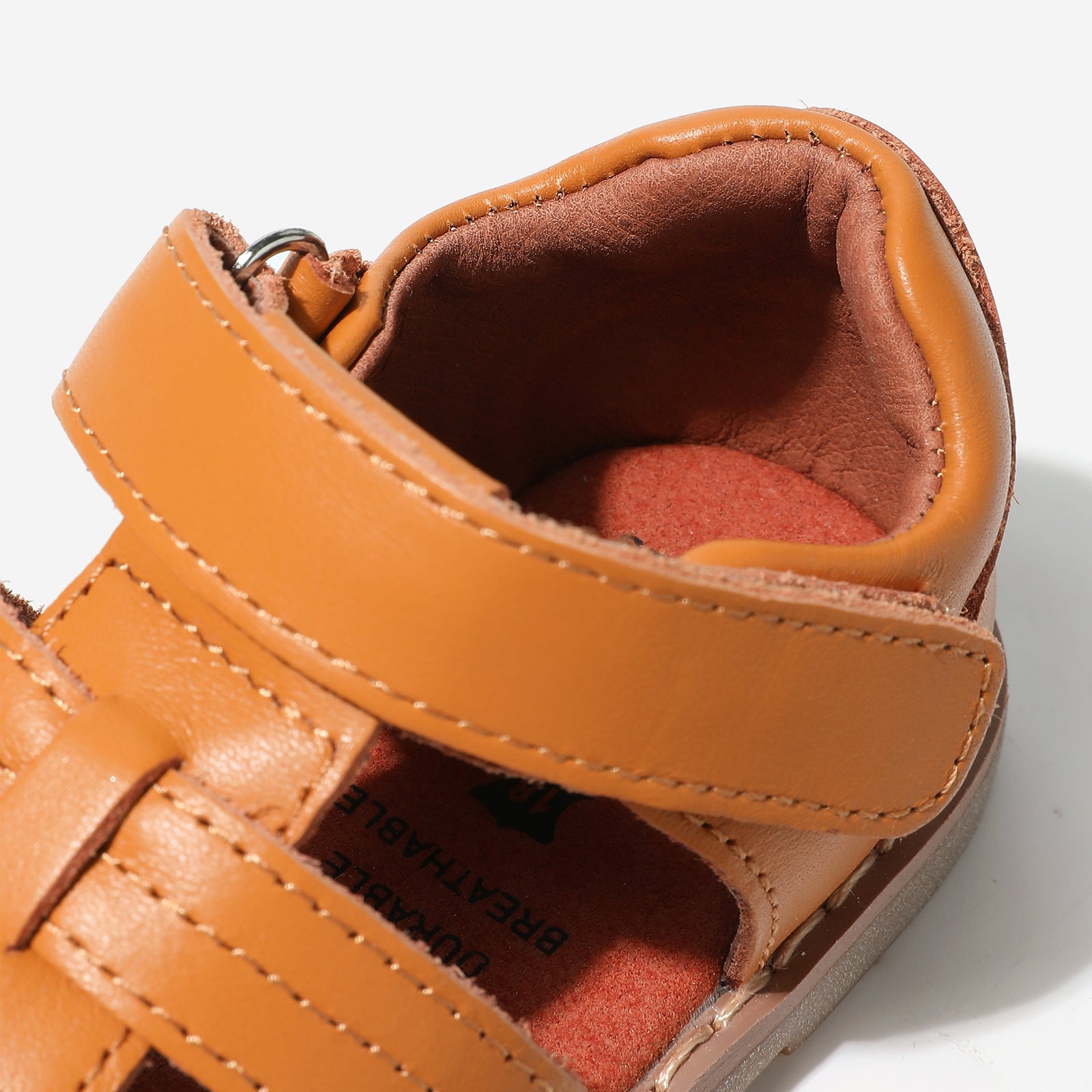 Mini Beetle Gladiator - Cocoa Brown