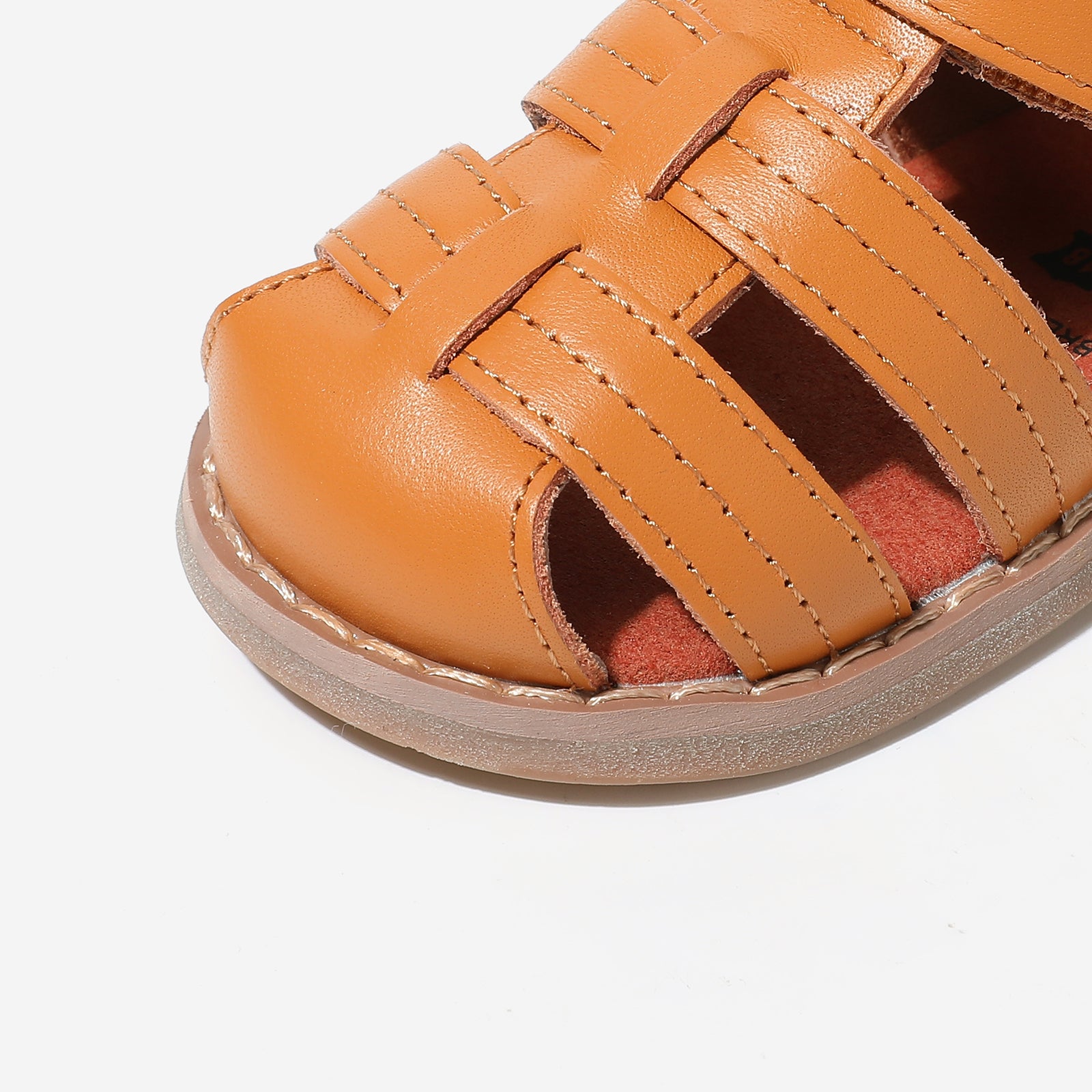 Mini Beetle Gladiator - Cocoa Brown