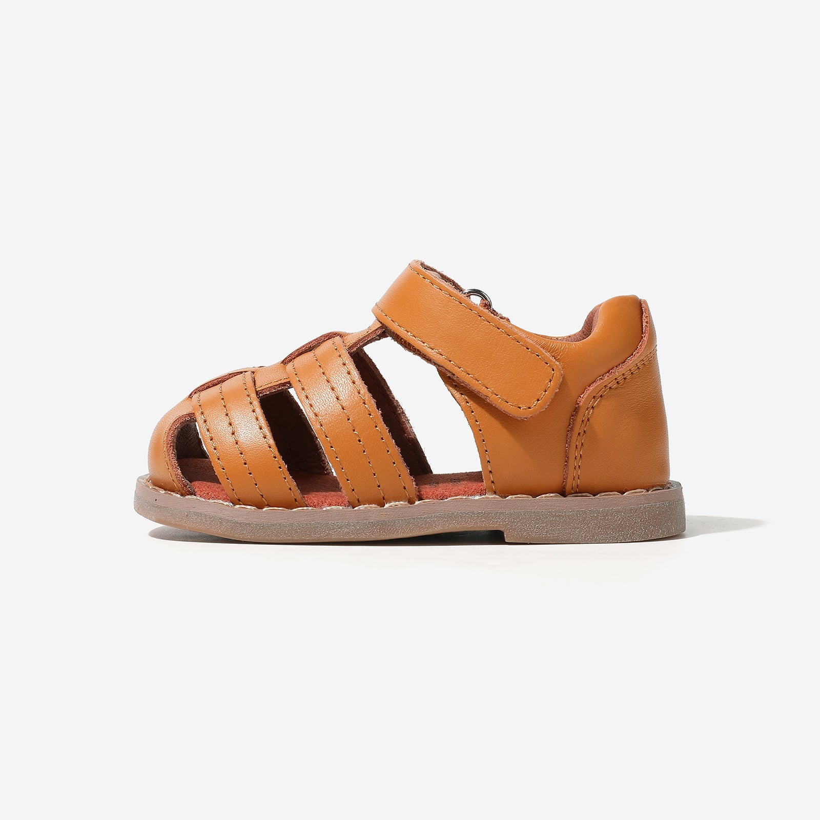 Mini Beetle Gladiator - Cocoa Brown