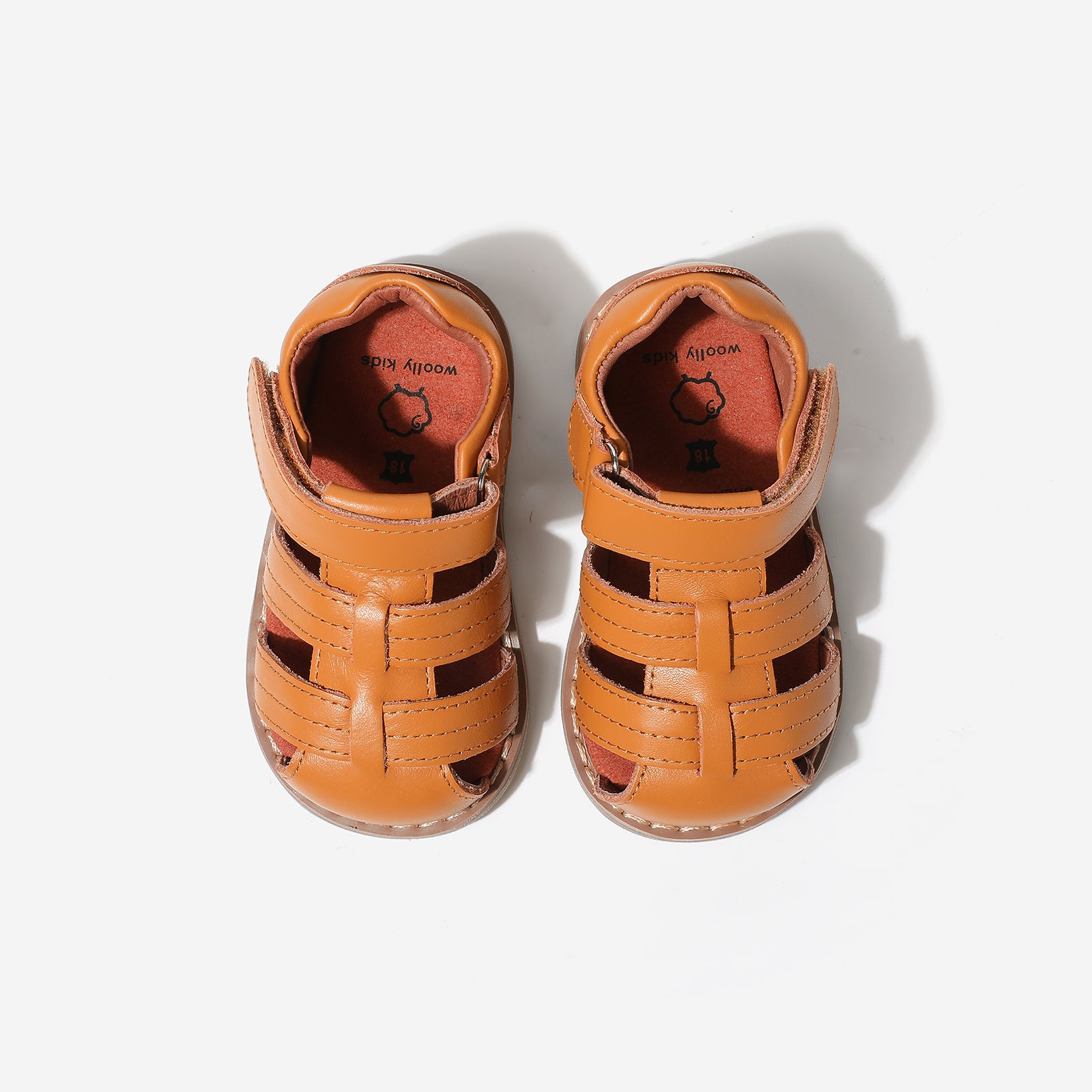 Mini Beetle Gladiator - Cocoa Brown