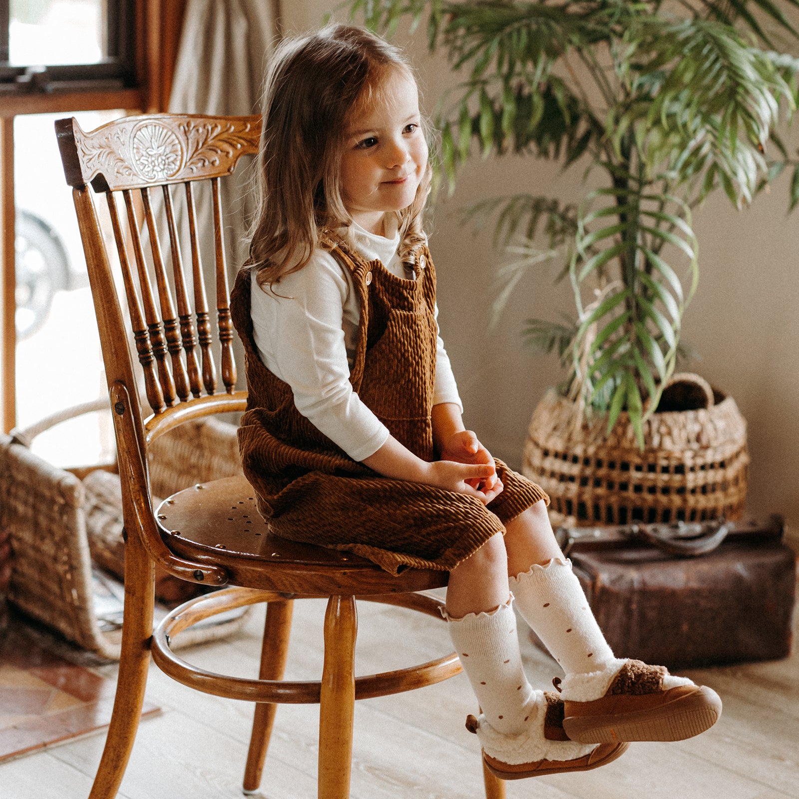 Mini Nimo - Acorn Brown