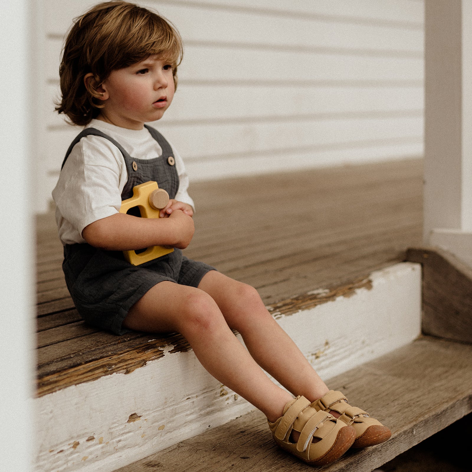 Poppy - Desert Yellow