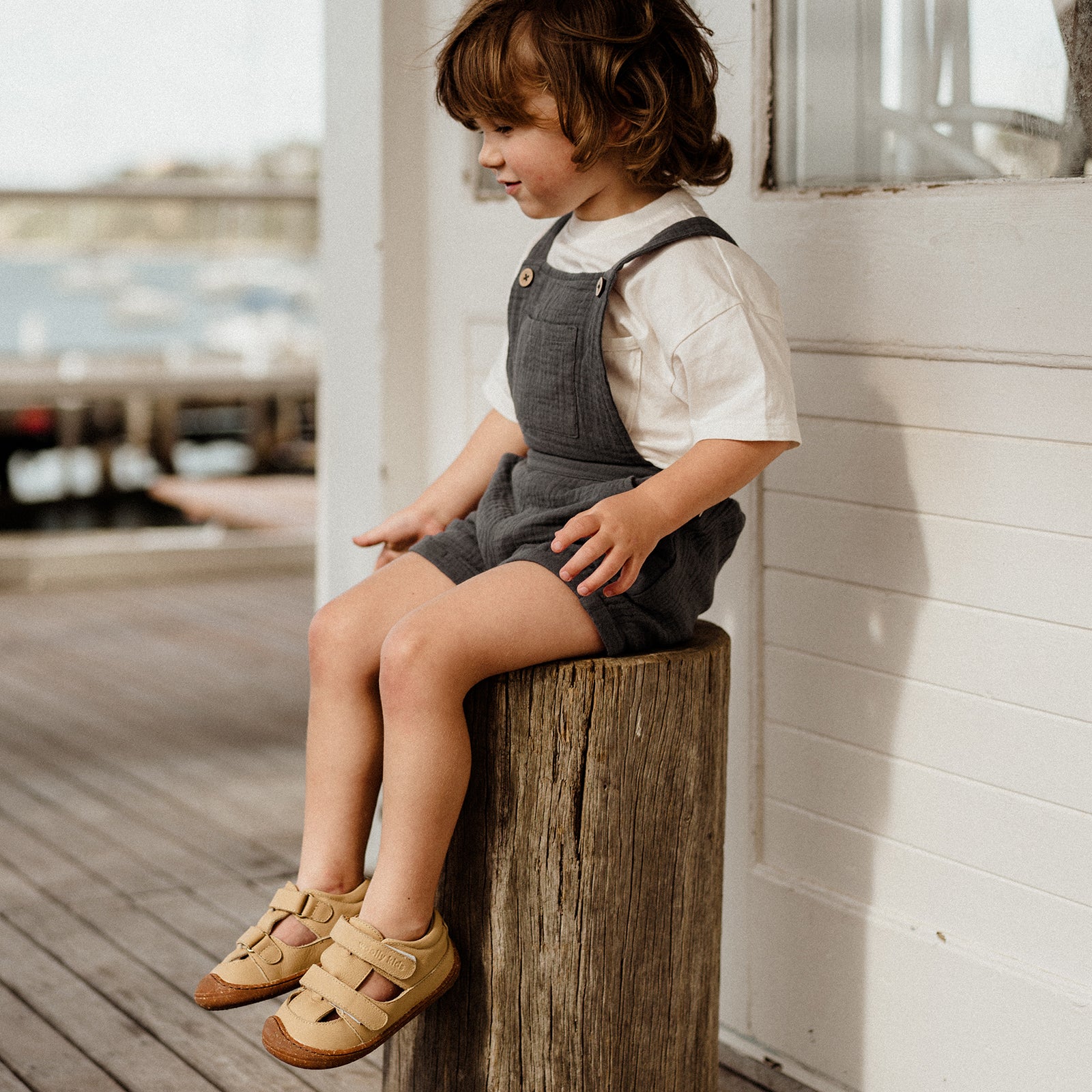 Poppy - Desert Yellow