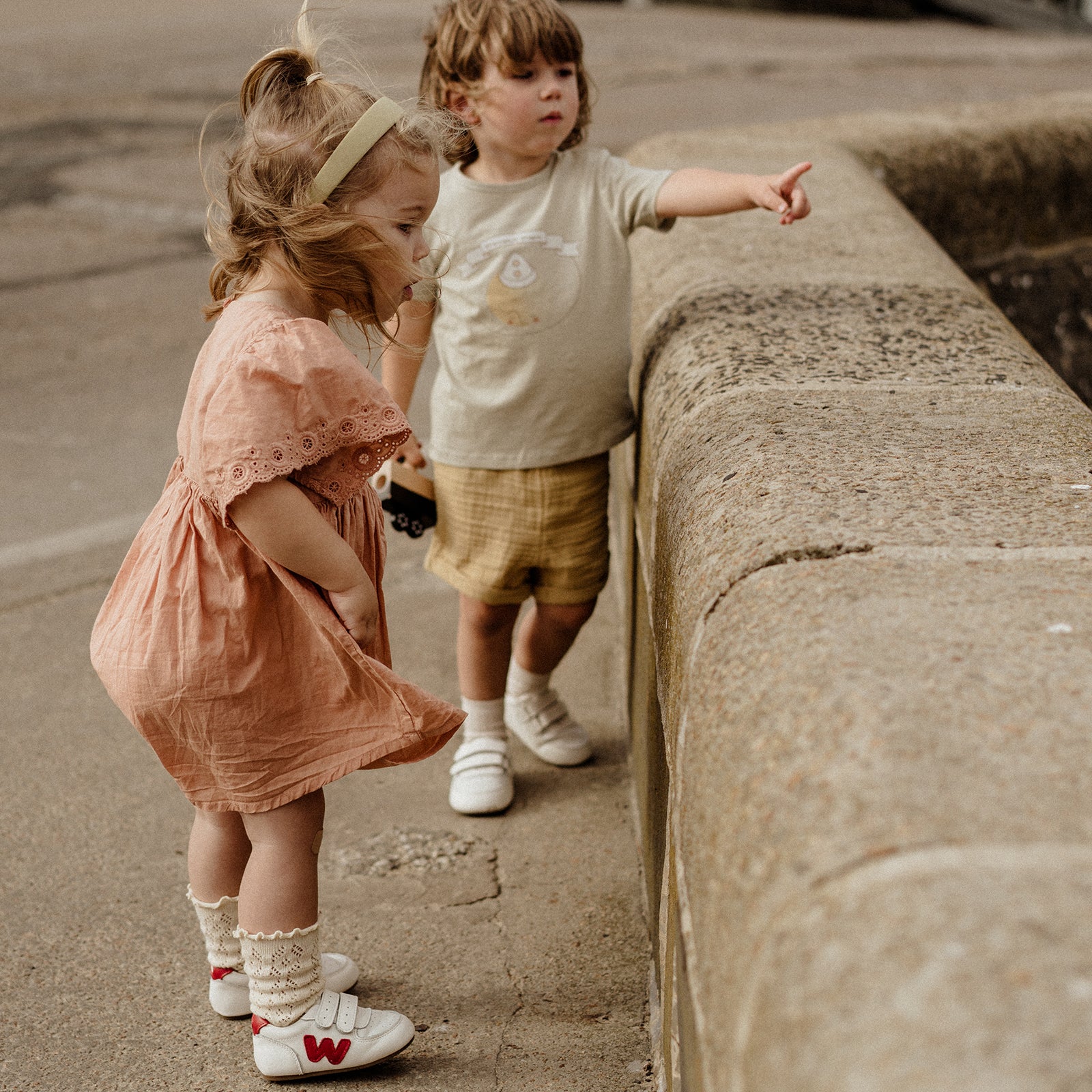 Zeppelin - Watermelon Red