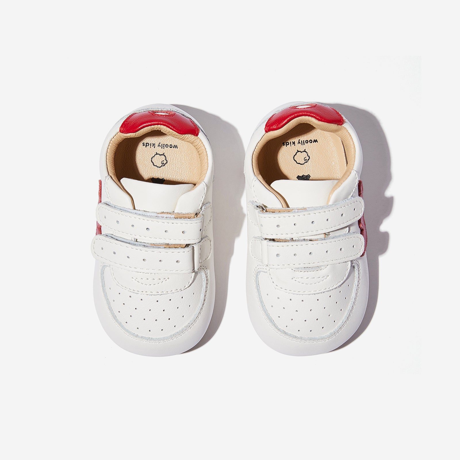 Zeppelin - Watermelon Red