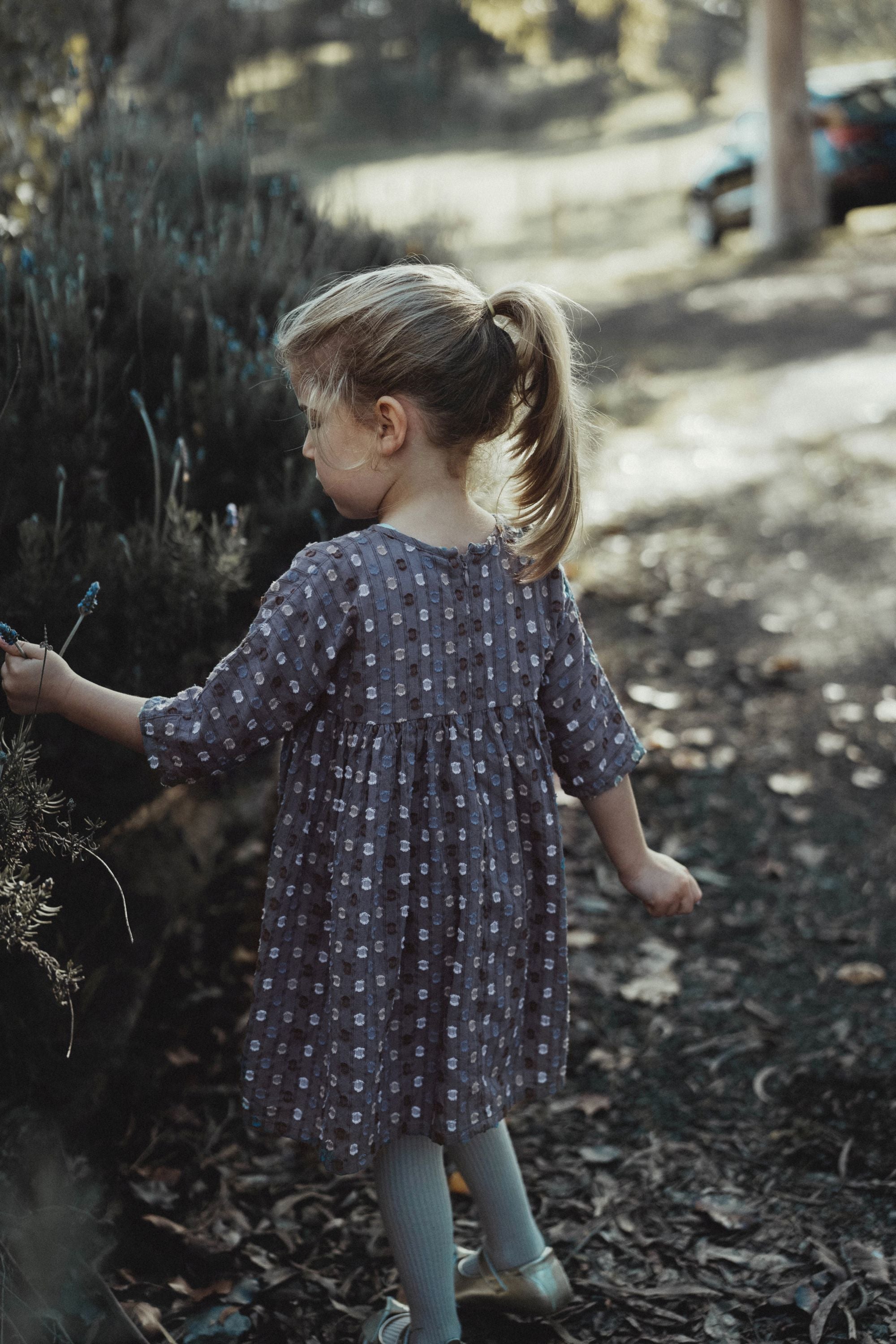 wirrawirra baby clothes for girls vintage polka dot dress navy blue polka dot 24 Autumn Autumn Dresses Girls New Arrivals Skirts Spring