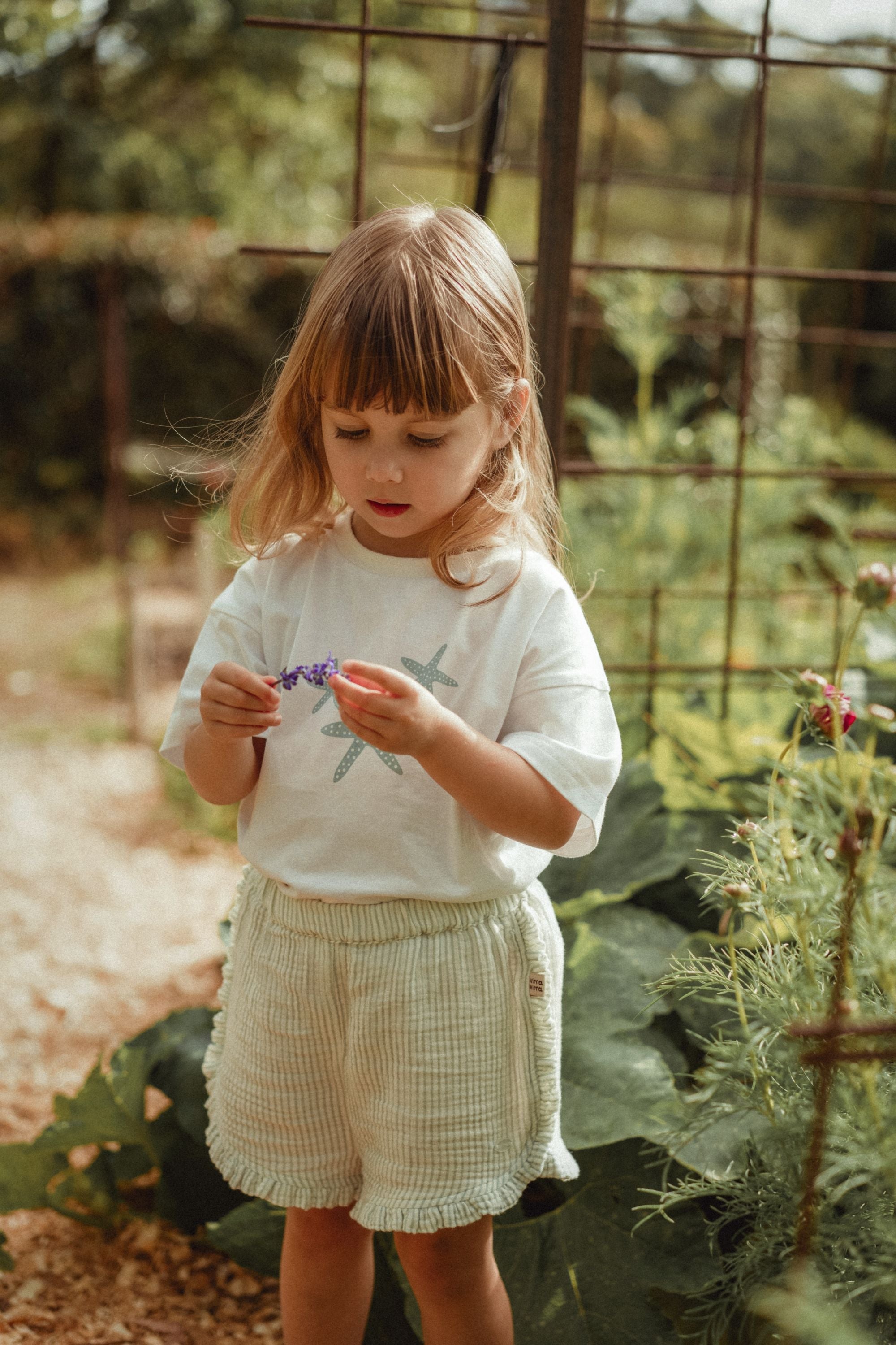 wirrawirra organic baby clothes ocean printed t shirt starfish 24 Summer Boys Essentials Girls New Arrivals T Shirts