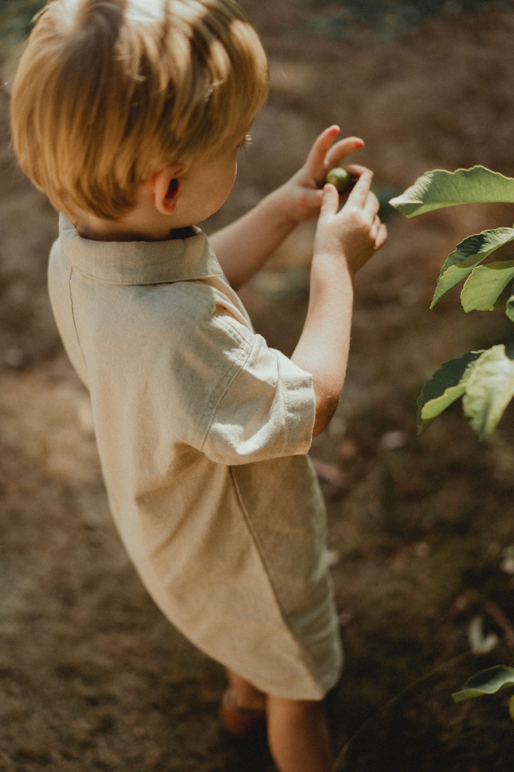 wirrawirra organic baby clothes linen jumpsuit linen 24 Summer Boys Girls Jumpsuit New Arrivals